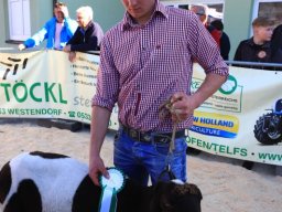 2019_ausstellung polling_729